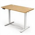 Electric Standing Desk WootsyPro Elevate