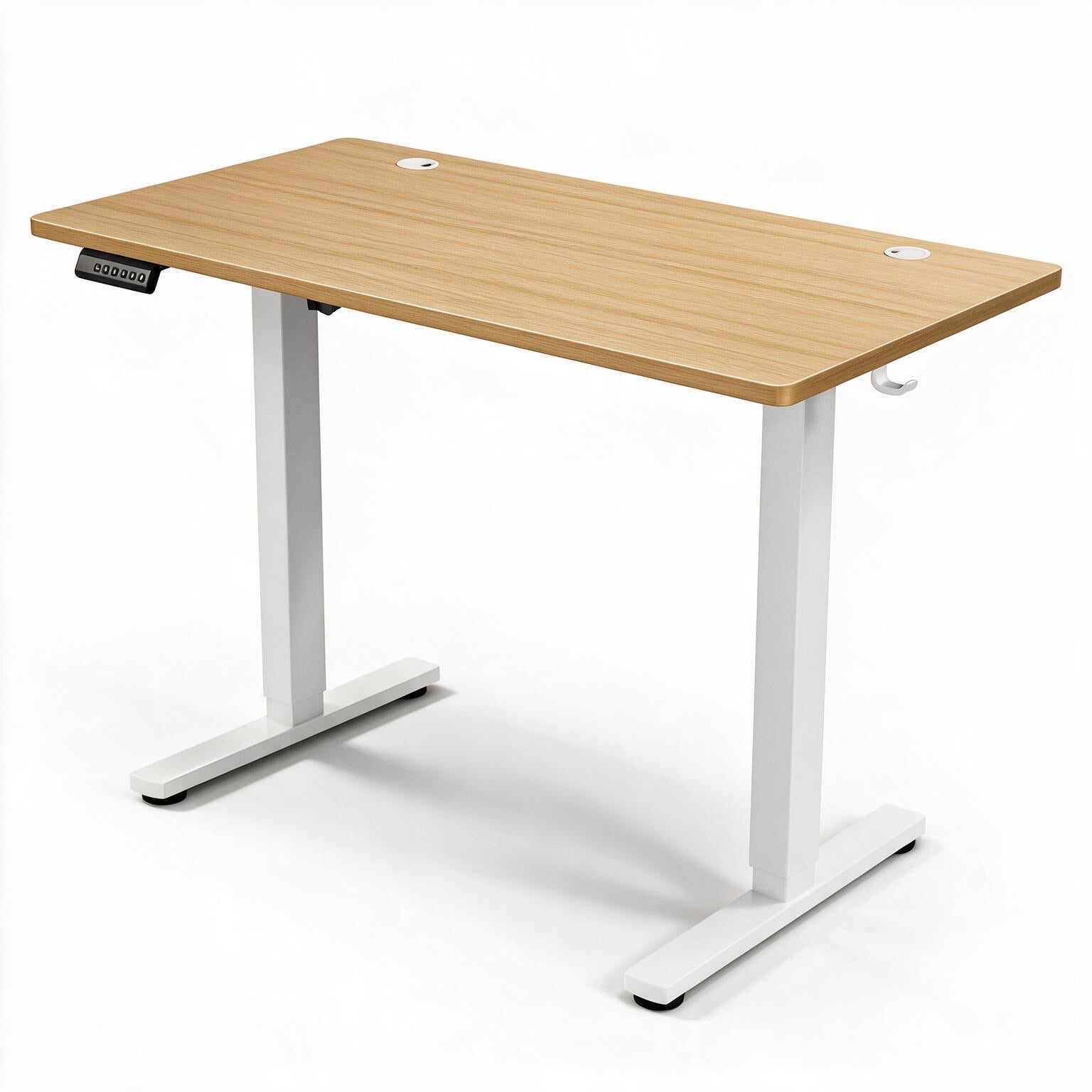 Electric Standing Desk WootsyPro Elevate