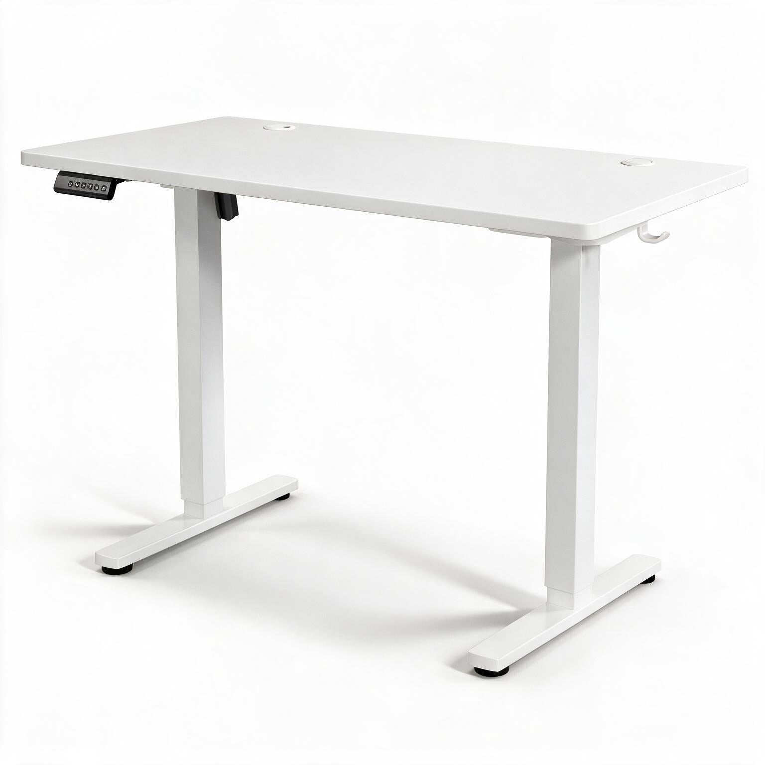 Electric Standing Desk WootsyPro Elevate